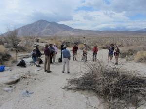 Anza Borrego petroglyph tour 041712